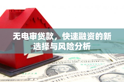 蒲江无电审贷款，快速融资的新选择与风险分析