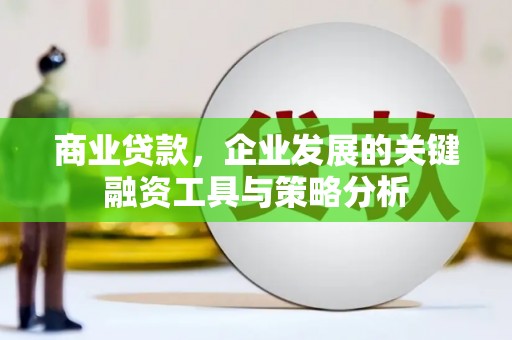 蒲江商业贷款，企业发展的关键融资工具与策略分析