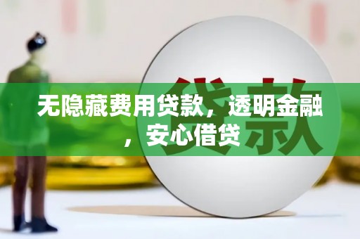 蒲江无隐藏费用贷款，透明金融，安心借贷