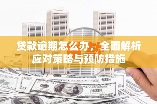 蒲江贷款逾期怎么办，全面解析应对策略与预防措施