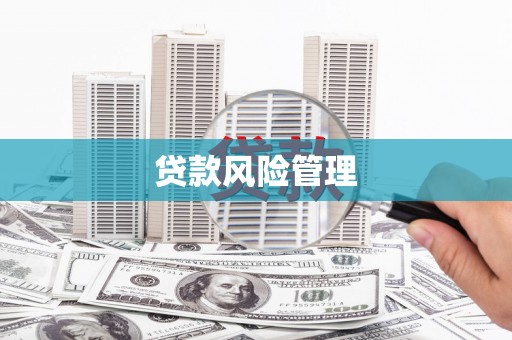蒲江贷款风险管理