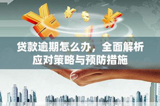 蒲江贷款逾期怎么办，全面解析应对策略与预防措施