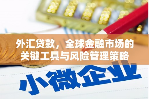 蒲江外汇贷款，全球金融市场的关键工具与风险管理策略