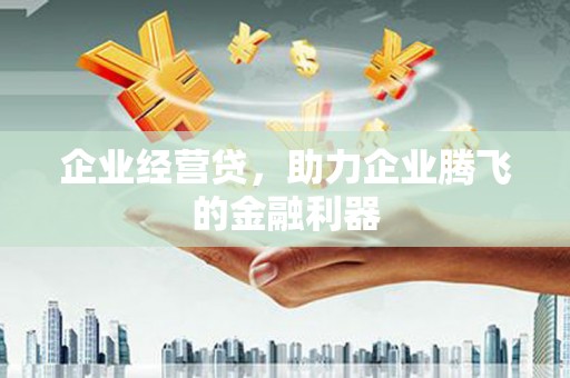 蒲江企业经营贷，助力企业腾飞的金融利器
