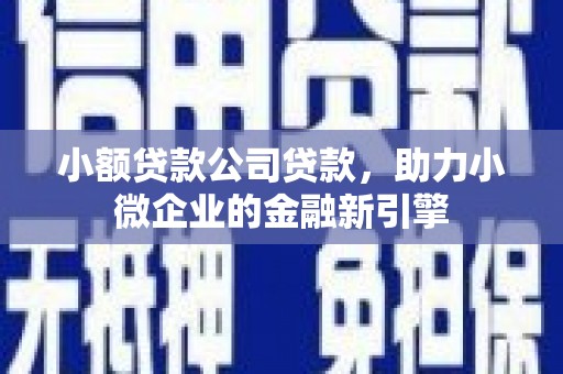 蒲江小额贷款公司贷款，助力小微企业的金融新引擎