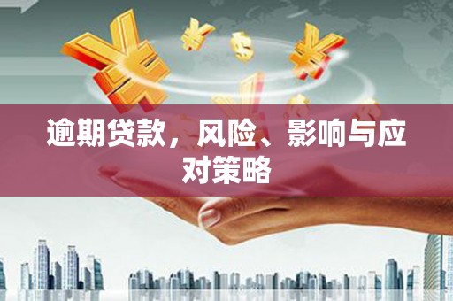 蒲江逾期贷款，风险、影响与应对策略