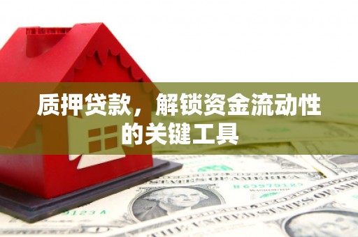 蒲江质押贷款，解锁资金流动性的关键工具