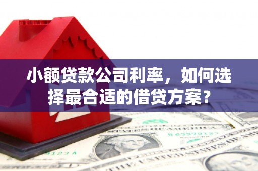 蒲江小额贷款公司利率，如何选择最合适的借贷方案？