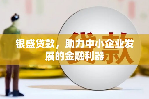 蒲江银盛贷款，助力中小企业发展的金融利器