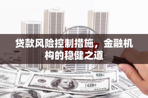 蒲江贷款风险控制措施，金融机构的稳健之道