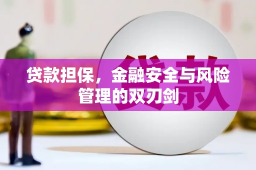 蒲江贷款担保，金融安全与风险管理的双刃剑
