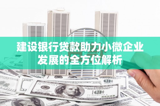 蒲江建设银行贷款助力小微企业发展的全方位解析