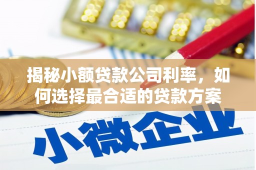 蒲江揭秘小额贷款公司利率，如何选择最合适的贷款方案