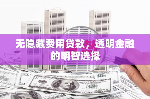 蒲江无隐藏费用贷款，透明金融的明智选择