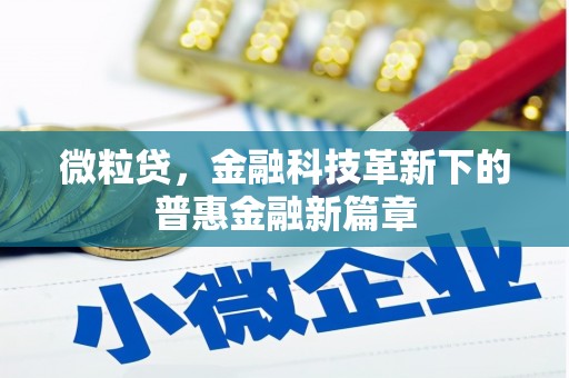 蒲江微粒贷，金融科技革新下的普惠金融新篇章