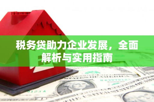 蒲江税务贷助力企业发展，全面解析与实用指南