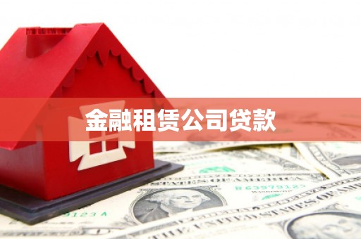 蒲江金融租赁公司贷款