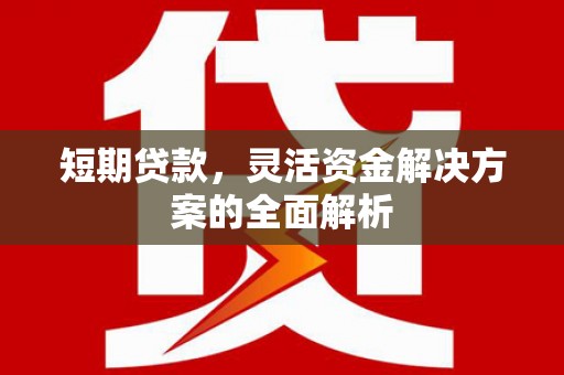 蒲江短期贷款，灵活资金解决方案的全面解析