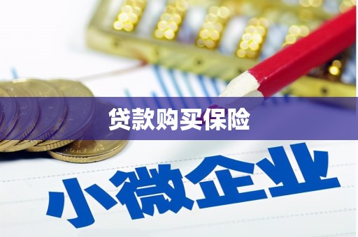 蒲江贷款购买保险
