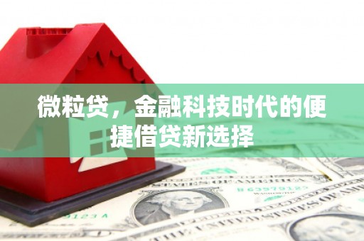 蒲江微粒贷，金融科技时代的便捷借贷新选择