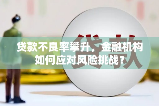 蒲江贷款不良率攀升，金融机构如何应对风险挑战？