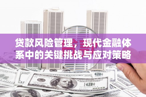 蒲江贷款风险管理，现代金融体系中的关键挑战与应对策略