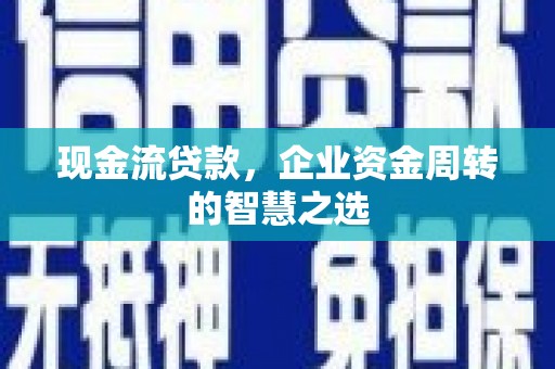 蒲江现金流贷款，企业资金周转的智慧之选