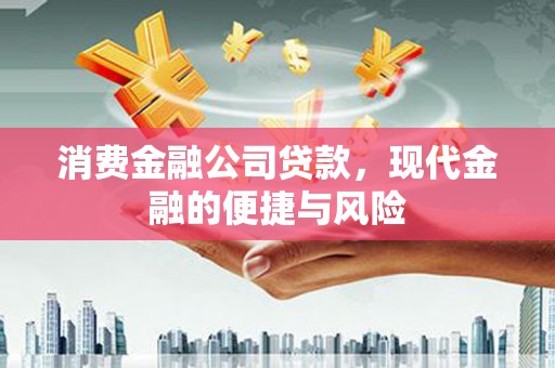 蒲江消费金融公司贷款，现代金融的便捷与风险