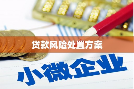 蒲江贷款风险处置方案