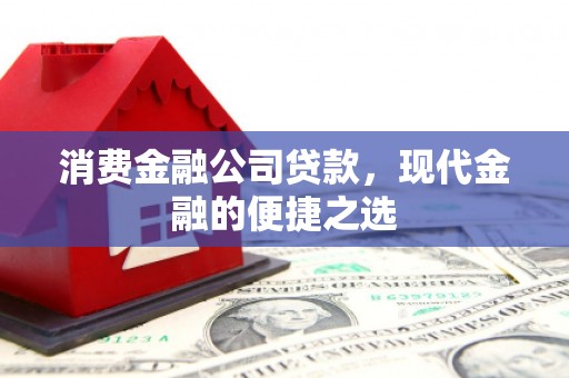 蒲江消费金融公司贷款，现代金融的便捷之选