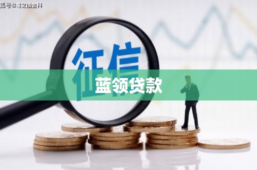 蒲江蓝领贷款