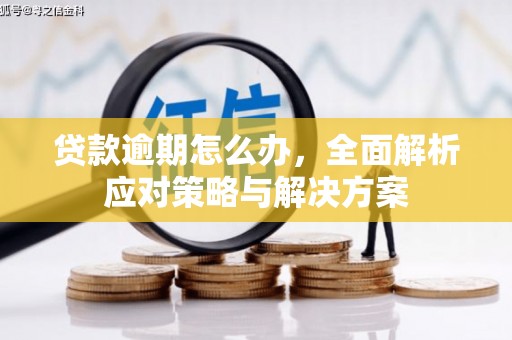 蒲江贷款逾期怎么办，全面解析应对策略与解决方案