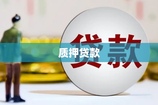 蒲江质押贷款