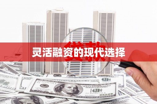蒲江灵活融资的现代选择