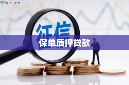 蒲江保单质押贷款