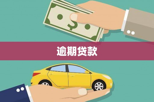 蒲江逾期贷款