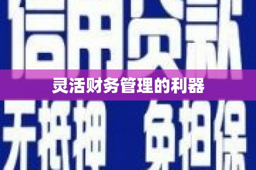 蒲江灵活财务管理的利器