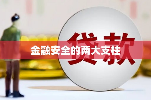 蒲江金融安全的两大支柱