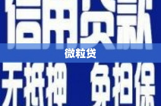 蒲江微粒贷