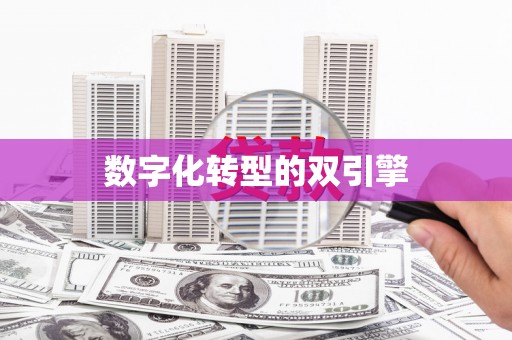 蒲江数字化转型的双引擎