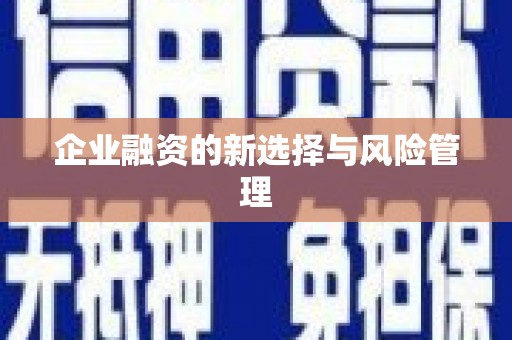 蒲江企业融资的新选择与风险管理