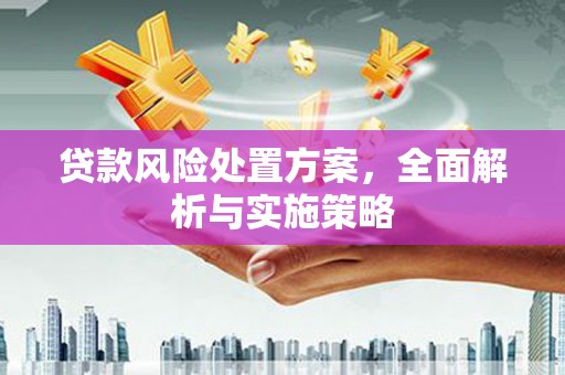 蒲江贷款风险处置方案，全面解析与实施策略