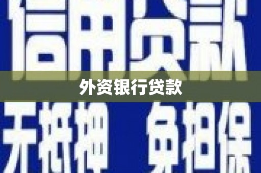 蒲江外资银行贷款