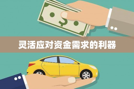 蒲江灵活应对资金需求的利器