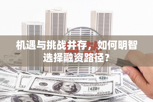 蒲江机遇与挑战并存，如何明智选择融资路径？