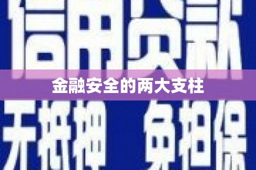 蒲江金融安全的两大支柱